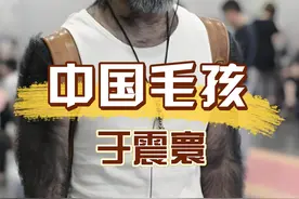 “中国第一毛孩”生子后为何消失了？直到小娇妻一张高清照曝光，果然真相不简单#毛孩于震寰 #明星人物传  #娱乐资讯 #明星八卦 #娱乐八卦视频封面