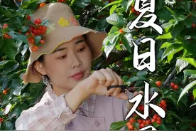 阳光+果香=夏日王炸！周末采摘治愈所有不开心 #采摘 #新鲜水果视频封面