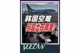 韩国空难背后疑问重重：起落架为何放不下？737究竟有无问题？ @抖音短视频 @DOU+小助手 #掘金计划2024 #济州航空 #韩国 #民航 #波音视频封面