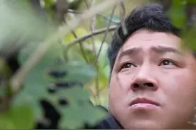 野生猕猴桃熟了，每年都得泡两坛酒，猕猴桃泡椒，果香和酒香的完美融合，去年的都还没有喝完，今年的又泡上了，根本喝不完...#新农人计划2024 #乡村生活家 #农村美食 #记录真实生活 #猕猴桃泡酒视频封面