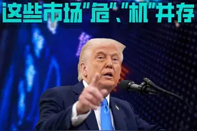 特朗普关税大刀砍向全球，税率超预期，这些市场“危”、“机” #经济学知识看世界#掘金计划2025#对等关税  #关税 #特朗普视频封面