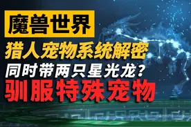 魔兽世界猎人该如何带两只拉风的宠物？你不会现在才知道吧？视频封面