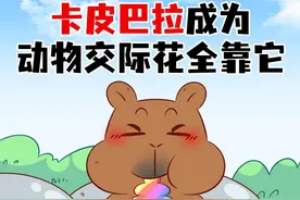 为什么动物都喜欢面瘫的水豚？ #轻漫计划 #卡皮巴拉 #科普视频封面