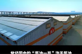 不到3年市值蒸发5000亿，“海天酱油”被消费者上了一课。#财经 #海天酱油 #商业思维 #海天味业再发声明否认双标 #社会百态视频封面