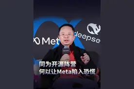 同为开源阵营，国产AI神器何以让Meta陷入恐慌 #DeepSeek #红衣聊AI #大咖观察视频封面