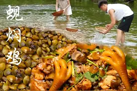 不起眼的小溪里藏满了河蚬，有人拿它喂鸡鸭，有人爱它美味极鲜 #童年回忆  #家乡的味道 #河蚬 #我的乡村生活 #新农人计划2024