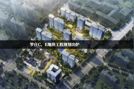 德州罗庄地块规划来了！#德州 #地块 #抖音 #抖音小助手视频封面