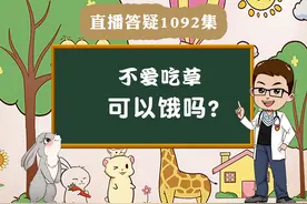 兔子不爱吃草可以饿吗？最多可以饿多长时间？#宠物兔