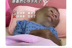 好消息是胚胎着床了，坏消息是生化妊娠了！ 如果一次生化，咱可不做干预，但出现2次或以上，那还是建议UU们排查下病因。
首先要考虑精子的问题，大部分导致生化结局，主要是来自男性不良的生活习惯，从而引起的精子质量下降，所以备孕前三个月，记得让你那个只会拉屎的老公，戒烟戒酒，休养生息，专心造人，那么做试管能避免生化吗？这也是避无可避的，有少部分解冻移植的UU，在移植后也可能会出现生化，另外，内膜炎、内分泌、免疫等因素，都有可能会导致生化。
生化原因有很多，也不必一次生化，就感到焦虑，咱门诊还是有很多曾经生化，在排查病因后成功怀孕的，生化有时也是优胜劣汰的过程，不用过度的担心，下一个怀上的娃，没准更加健康强壮呢！
#硬核健康科普行动 #生化妊娠 #试管移植 #怀孕 #涨知识视频封面