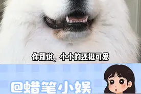 主打一个陪伴 #远程控制 #情侣日常视频封面