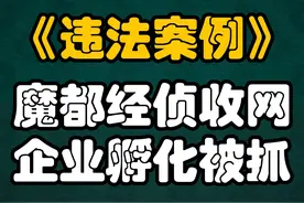 上海经侦分局收网，企业孵化中介被抓，企业和中介涉嫌诈骗罪 #企业孵化 #贷款中介法律风险 #居间中介合规问题 #助贷中介法律风险 #高新技术企业
