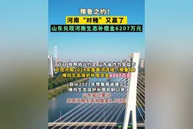 豫鲁之约！河南“对赌”又赢了 ，山东兑现河南生态补偿金6207万元。#生态补偿 #美丽河南 #豫鲁之约