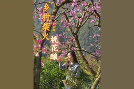 二两桃花酿做酒，万杯不及你温柔。和老妈小酌被老爸抓啦~ #生活的烟火气息 #新农人计划2025  #桃花酿 #记录农村美好生活 #柴火灶视频封面