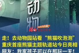 走！去动物园站看“熊猫吹泡泡”！ #重庆首座熊猫主题轨道站今日亮相 网友：我家孩子可以在那玩一天！#重庆dou知道