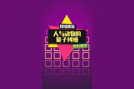 量子纠缠是什么梗？#量子纠缠 #量子纠缠与心灵感应  视频封面