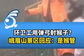 环卫工用弹弓射猴子，峨眉山景区回应：射猴的是猴管， 防止抢游客东西。视频封面