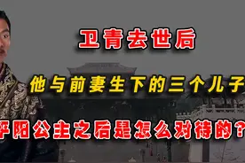 卫青去世后，他与前妻生下的3个儿子，平阳公主之后是怎么对待的视频封面