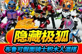 买17盒布鲁可假面骑士，欧气爆棚大隐藏，极狐积木人金光闪闪