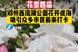 5月15日，河南郑州。西流湖公园月季花开成海，吸引不少市民前来打卡#河南dou知道 #花海 视频封面