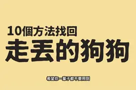 10个方法教你找回走丢的狗狗 #可爱的狗狗 #狗狗 #狗狗百科视频封面