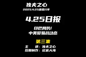 2025.4.25日报第三集（共三集，注意查看主页） 视频封面