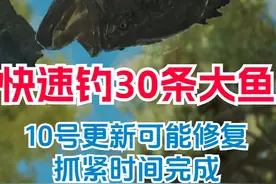 【怪物猎人荒野】快速钓30条大鱼成就方法攻略！钟情大鱼！
