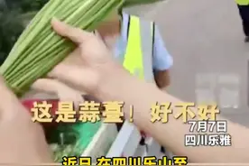 司机运输韭菜花走绿通被拒，专家建议扩容“目录”（记者 吴绪宁 编辑 吕振宇）  #绿通 #韭菜花 #政策解读