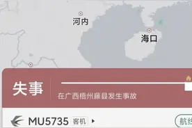 3月21日，广西梧州，东航一客机坠毁。#东航MU735航班状态已显示为失事 视频封面