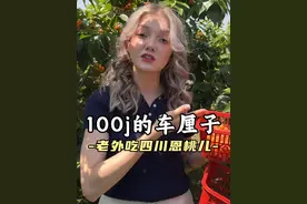 你们喜欢吃什么样的樱桃呢#樱桃 #车厘子 #领克03 #C妹在成都视频封面