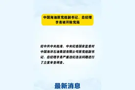 中国海油原党组副书记、总经理李勇被开除党籍。#打虎拍蝇   #反腐倡廉  （制作｜闫晓阳 编辑｜小羊）视频封面