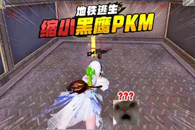 灰鹰Z爆笑地铁逃生，电梯里缩小版金枪黑鹰PKM？