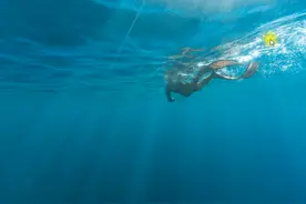 第七十四课X86汇编语言补码的本质(1)视频封面