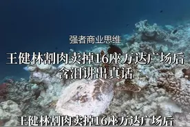 实体商业不再靠卖货赚钱？5.0时代36种盈利新模式来了#商业思维视频封面
