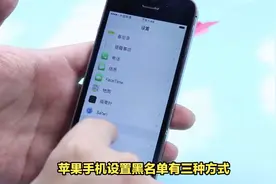 苹果手机设置黑名单，三种方法教你阻止来电！#iphone使用技巧视频封面