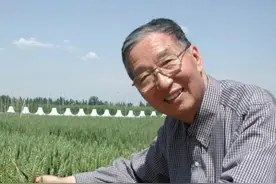 “要吃面，种小偃”，他是让中国人吃饱饭的粮食英雄之一，“共和国勋章”获得者李振声。#致敬视频封面