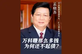 万科赚那么多钱为何还不起债？ #万科 #房地产 #买房 #楼市视频封面