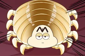 各位鱼鱼小心了，被这种“虫子”抓住舌头，你的鱼舌头就要被吃掉了！#冷知识 #轻漫计划 #动物世界