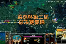 菜鸡杯第二届总决赛集锦 《无敌大表弟》vs《麦克家族》视频封面
