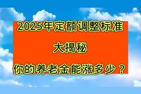 2025养老金涨了！定额调整细则速览视频封面
