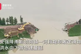 东莞谢岗镇强降雨致河堤滑塌 当地调用多台泥头车卸物料封堵缺口