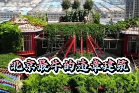 北京最牛的违章建筑，6年800万，在百米高的楼顶建造空中花园。视频封面
