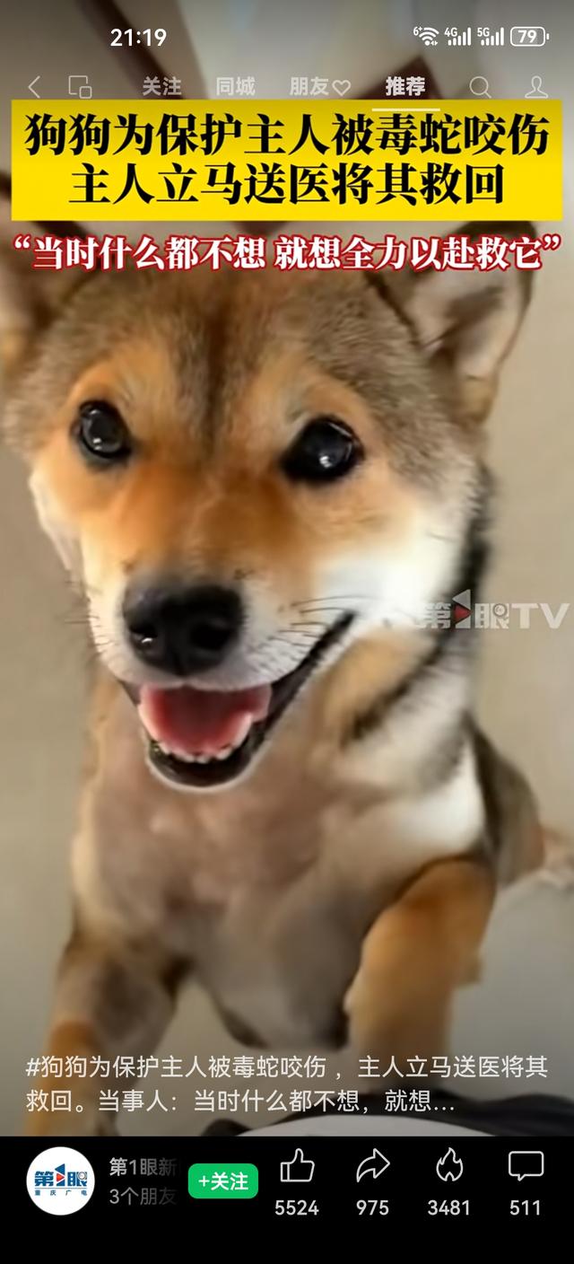 你会为救宠物拼尽全力吗
