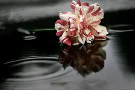 男人千万不要跟老婆说的这十句话，对照一下，你跟老婆说了几句？图片