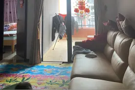 人住几楼？寿命最长最健康呢，不是迷信，难怪明星富豪呀图片