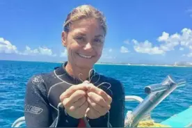 女潜水员潜入海底，发现一只受伤的鲨鱼，竟带着一群小鲨鱼游去图片