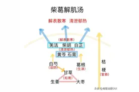 中医处方里如何理解，看完这个示意图就明白了图片