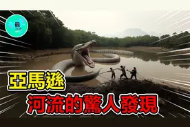 亚马逊河底下竟然隐藏着这些秘密！探索亚马逊河下的未知世界！视频封面