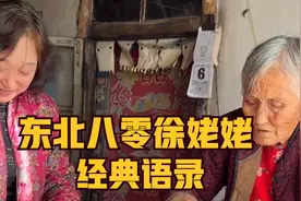 聪明能干的东北八零徐姥姥视频封面