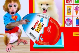 有趣的小猴子：小猴子使用自动售货机，和小狗一起吃美味的冰淇淋视频封面
