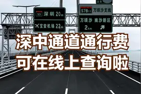 深中通道全线贯通，收费可在线上查询啦！视频封面